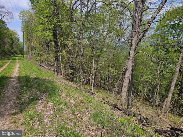 $42,900 | High View Road, Purgitsville, WV 26852