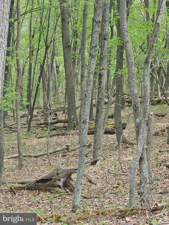 $42,900 | High View Road, Purgitsville, WV 26852