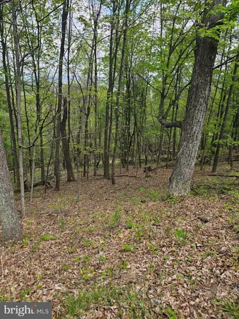 $42,900 | High View Road, Purgitsville, WV 26852