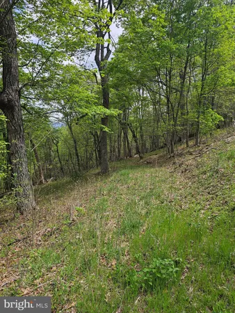 $42,900 | High View Road, Purgitsville, WV 26852