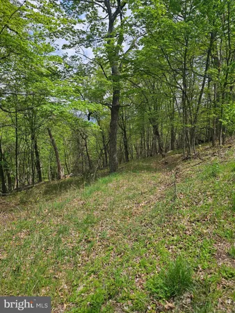 $42,900 | High View Road, Purgitsville, WV 26852
