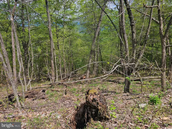 $42,900 | High View Road, Purgitsville, WV 26852