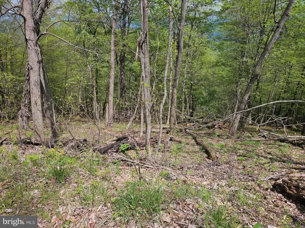 $42,900 | High View Road, Purgitsville, WV 26852