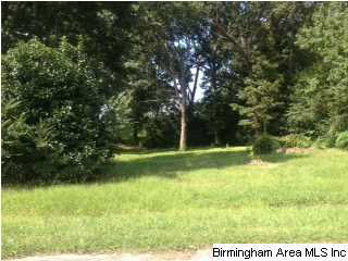 211 Brenda Road, Unit LOT 2 Anniston, AL 36206 - Photo 1 of 3