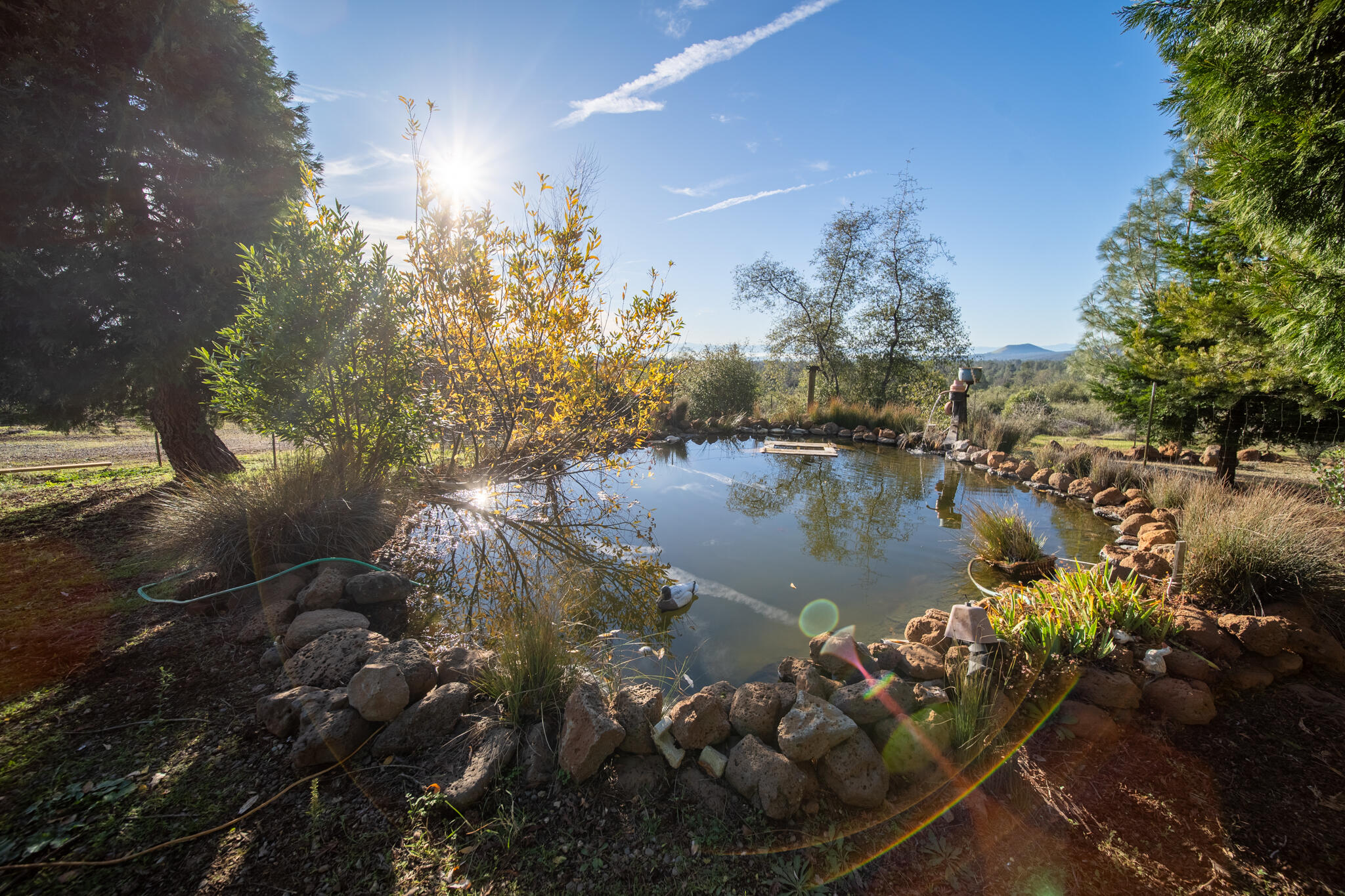 32017 Rock Creek Road Manton, CA 96059 - Photo 29 of 57 a backyard of a house with lake view and covered with trees