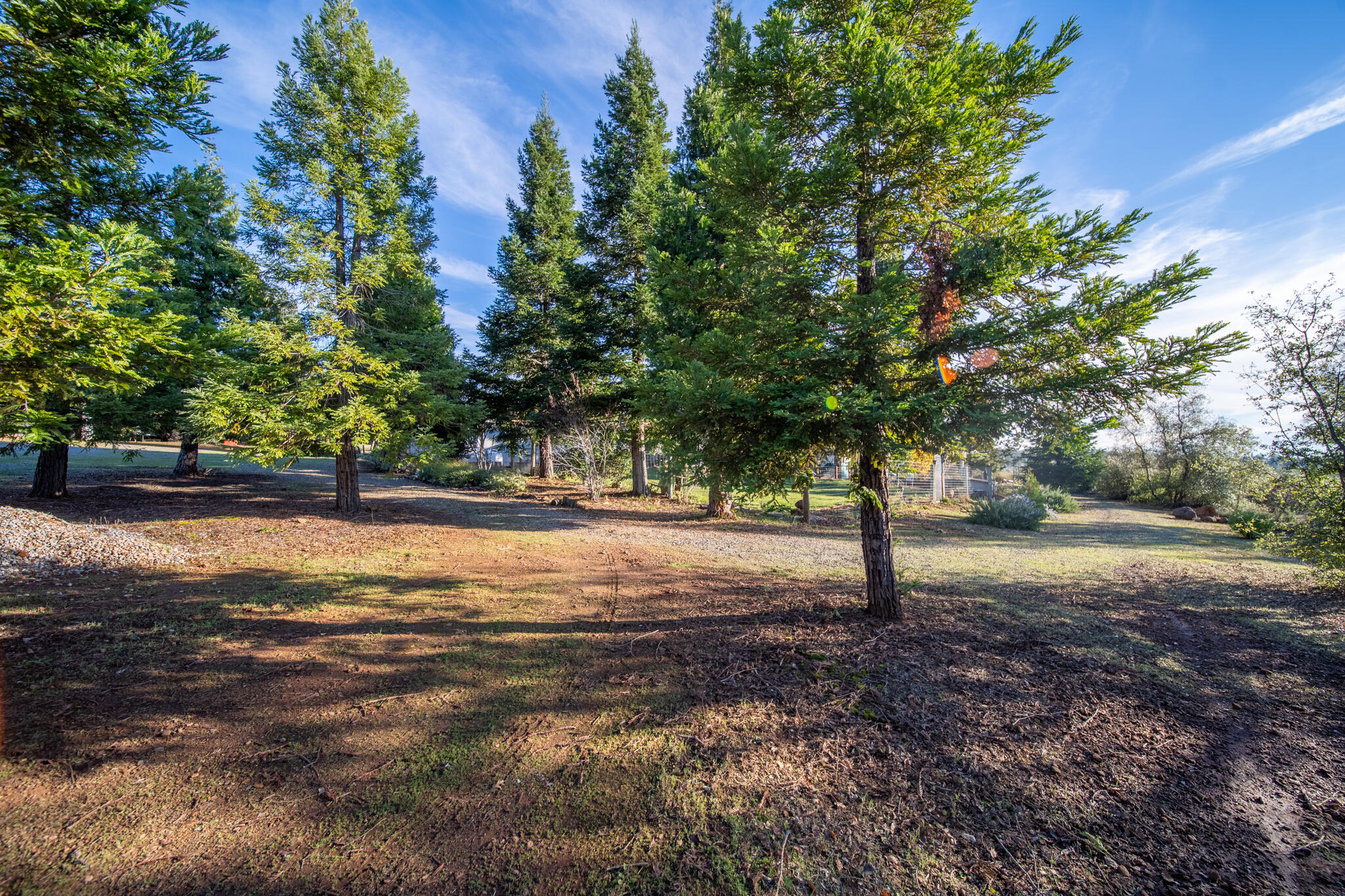 32017 Rock Creek Road Manton, CA 96059 - Photo 33 of 57 a view of road and trees