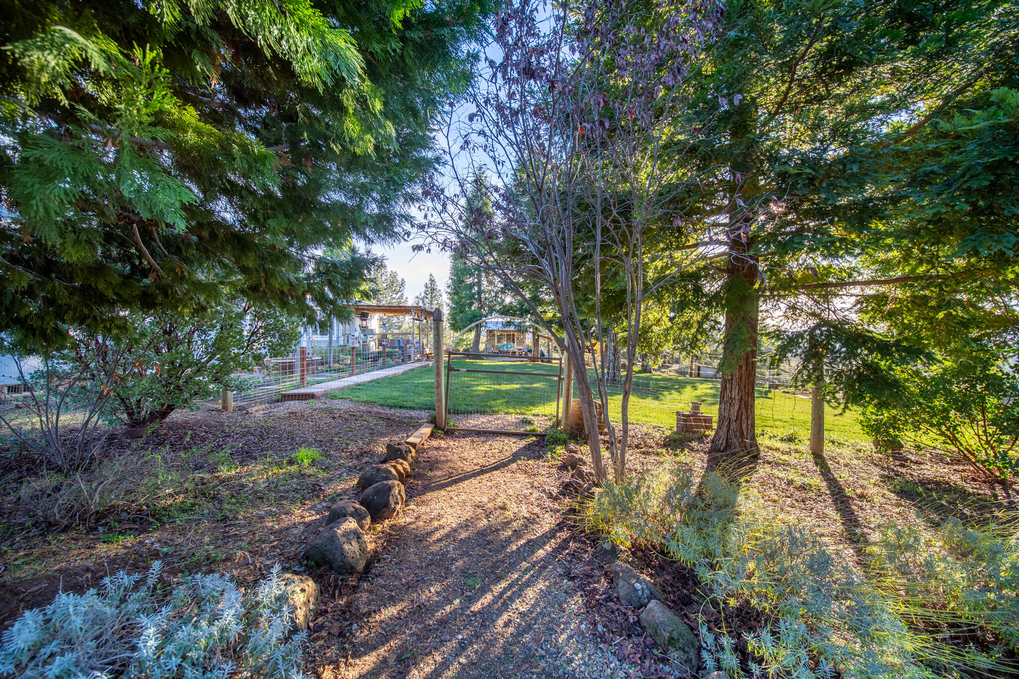 32017 Rock Creek Road Manton, CA 96059 - Photo 34 of 57 a view of a park with large trees