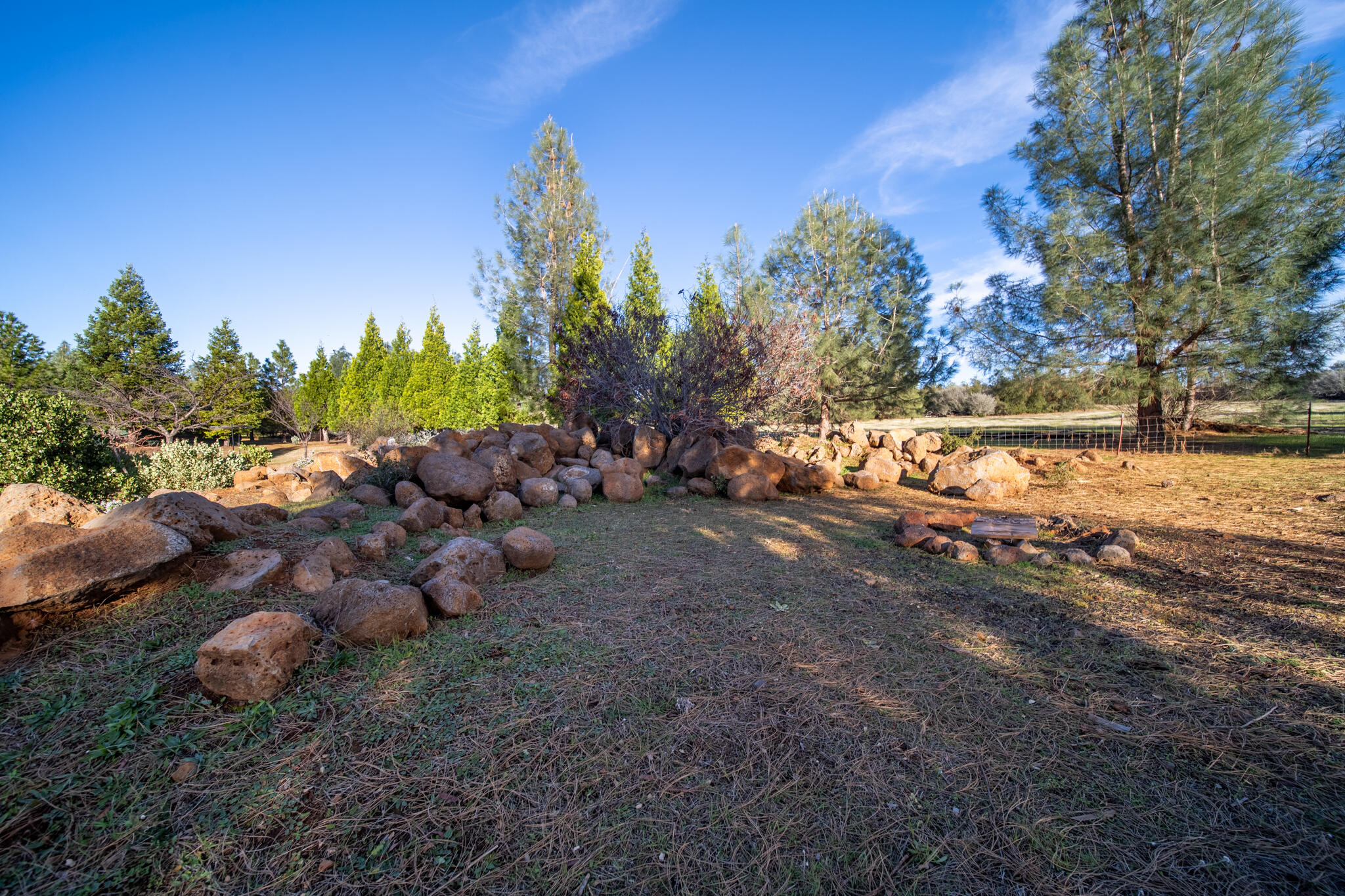 32017 Rock Creek Road Manton, CA 96059 - Photo 35 of 57 a view of a yard with a tree