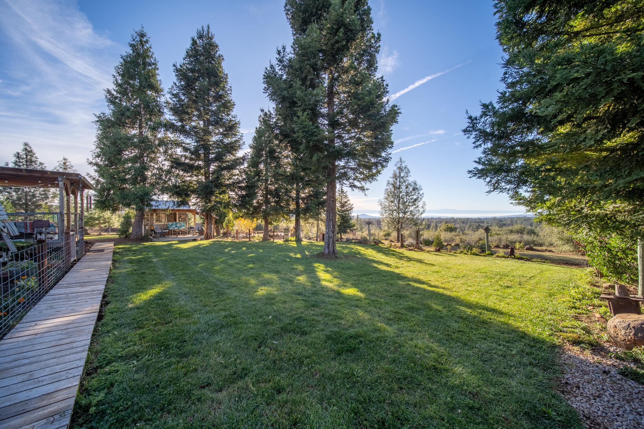 32017 Rock Creek Road Manton, CA 96059 - Photo 48 of 57 a view of a yard with plants and trees