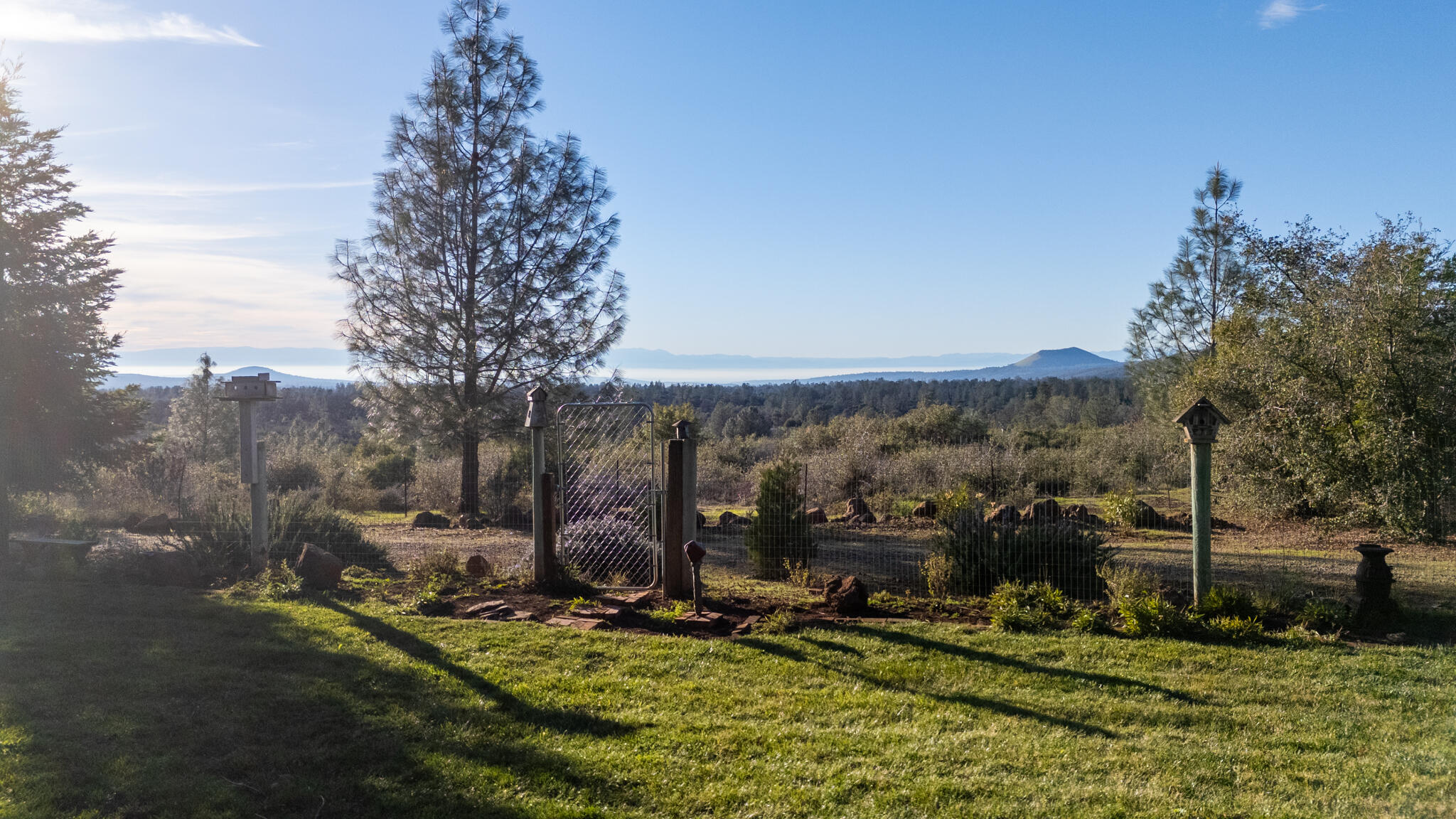 32017 Rock Creek Road Manton, CA 96059 - Photo 53 of 57 a view of a park with large trees