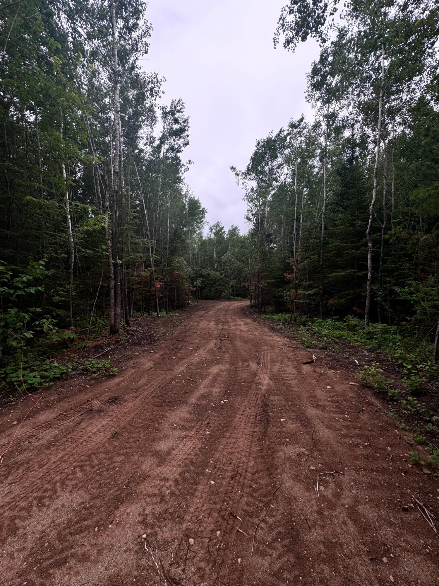 0 Pine Lake Road, Unit LOT 1 Tripoli, WI 54564 - Photo 2 of 16 Gallery Image 2