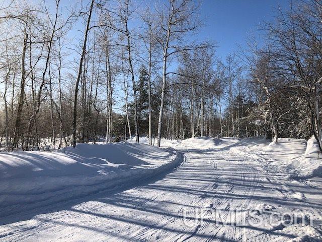 105 Morgan Meadows Road Marquette, MI 49855 - Photo 2 of 38