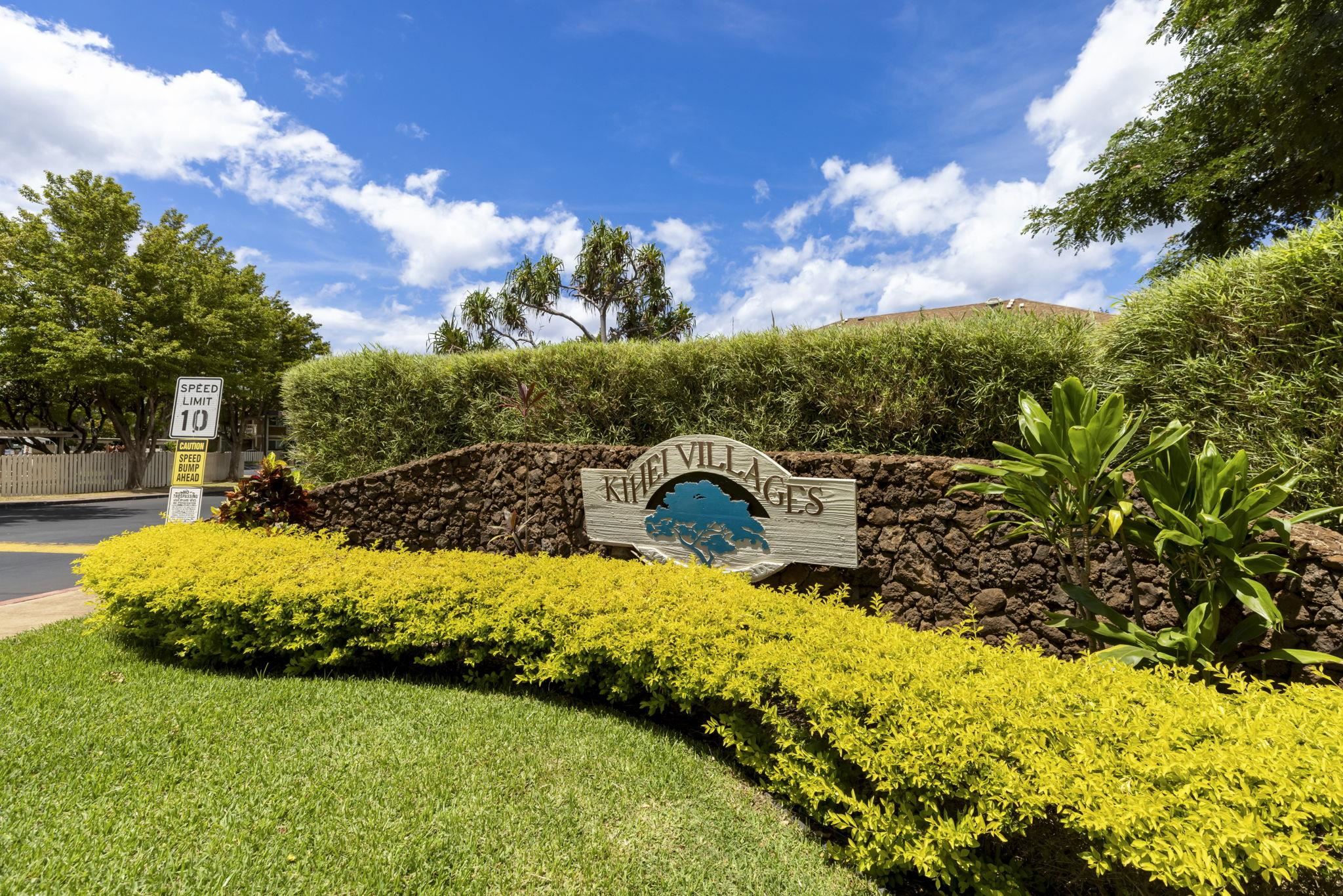 a view of swimming pool with a garden