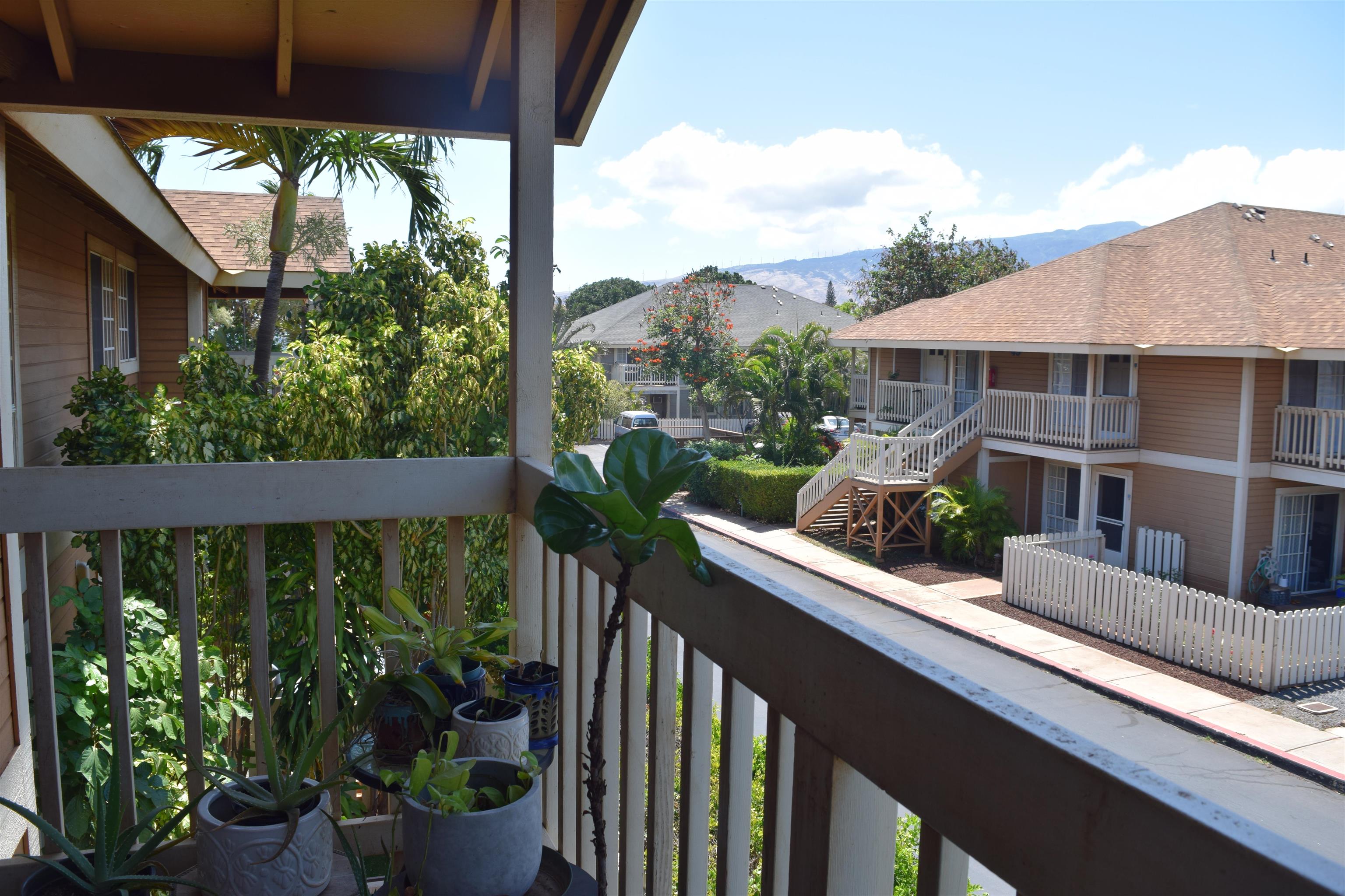 140 Uwapo Road, Unit 41203 Kihei, HI 96753 - Photo 12 of 17 a view of a potted plants on a balcony