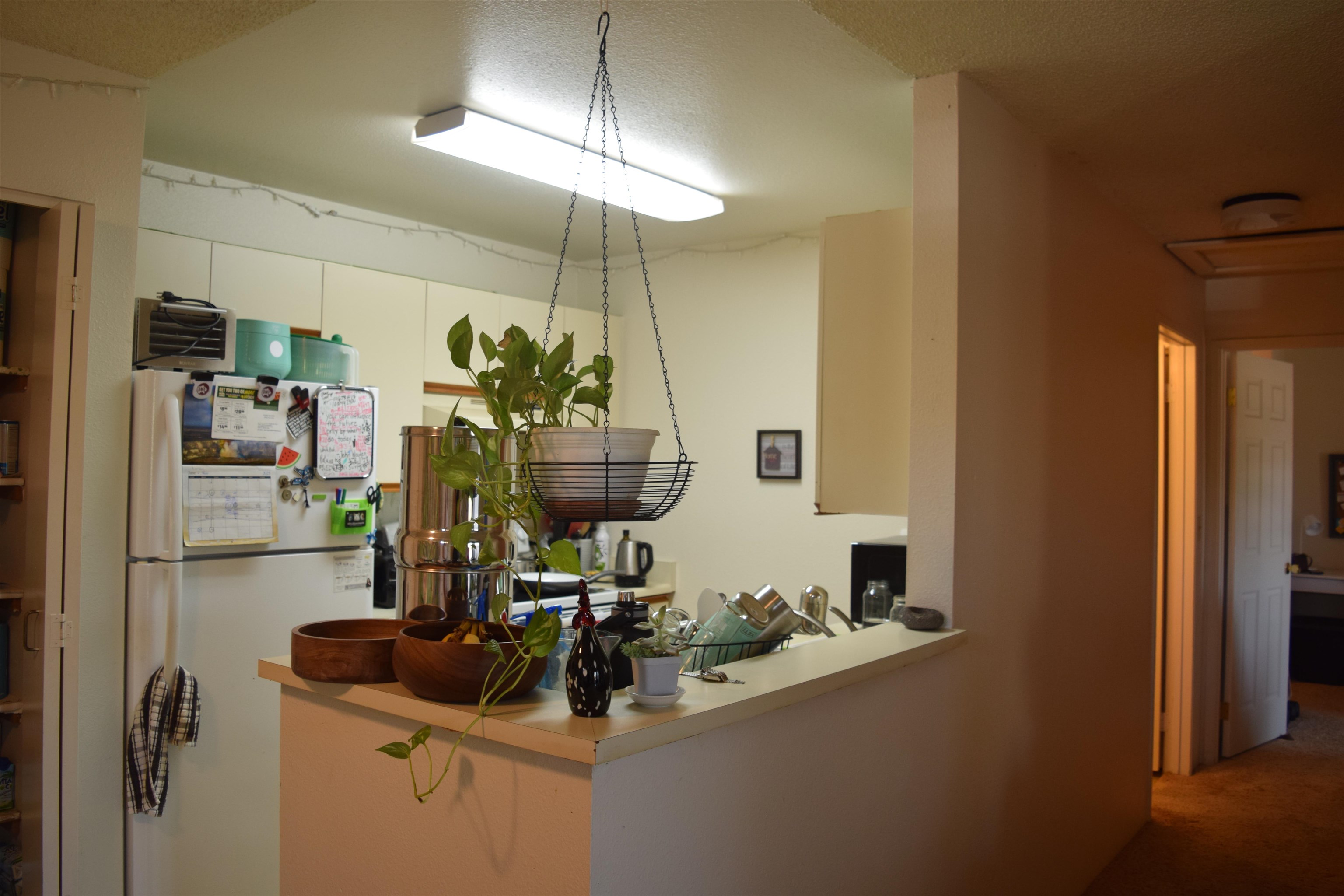 140 Uwapo Road, Unit 41203 Kihei, HI 96753 - Photo 4 of 17 a room with a sink and potted plant