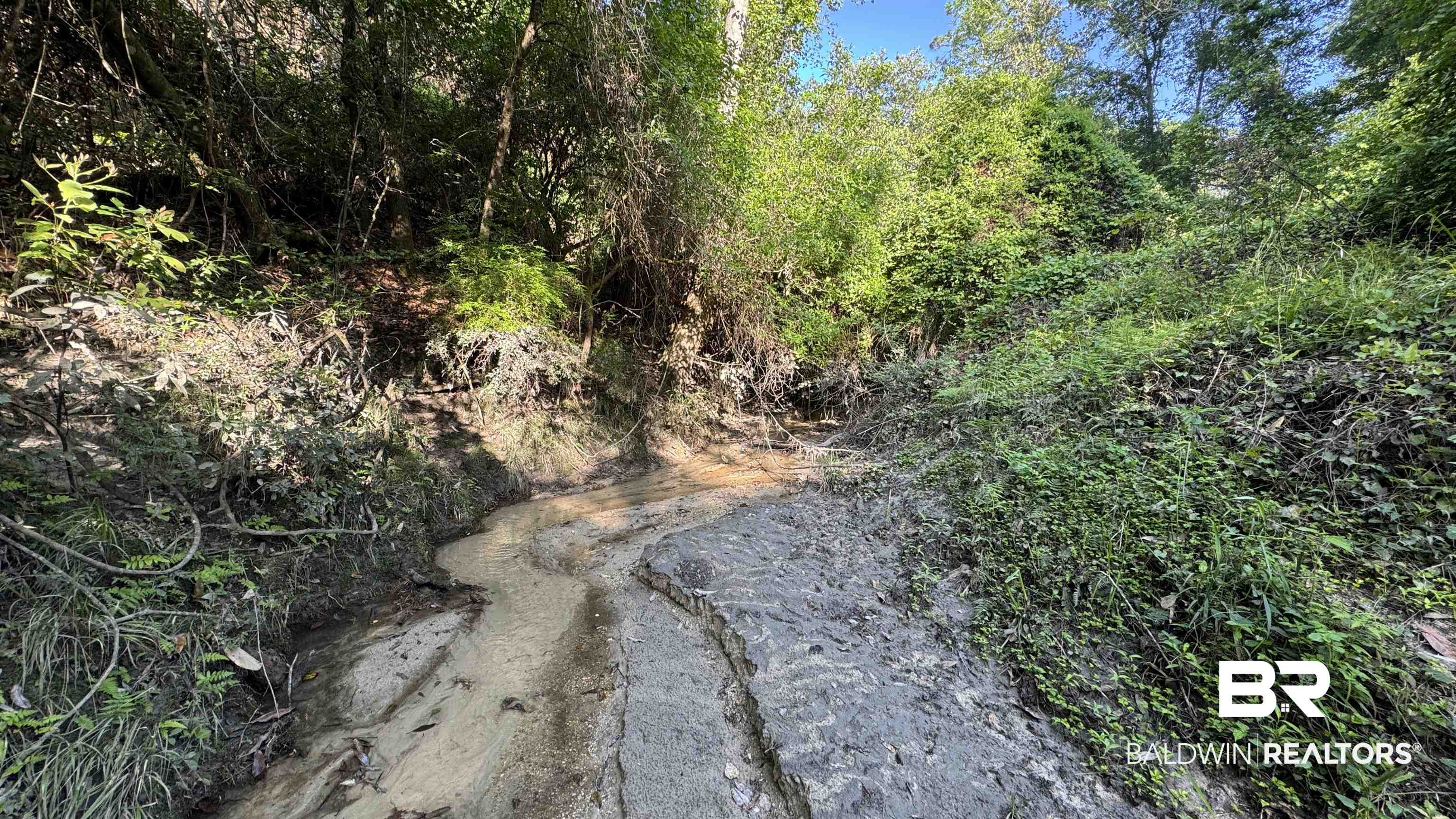 0 Lechner Road Robertsdale, AL 36567 - Photo 22 of 35 View of nature