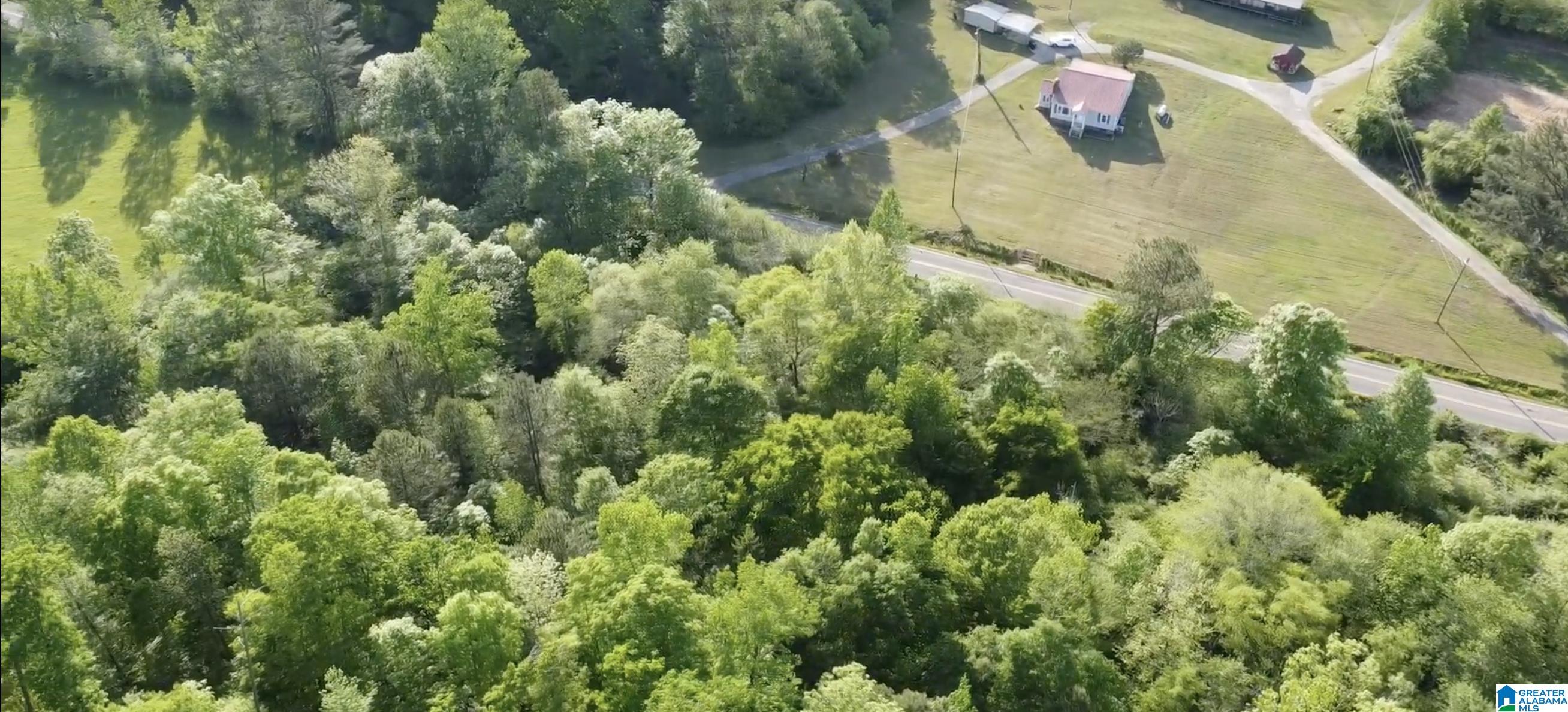 7951 River Road Dora, AL 35062 - Photo 22 of 28