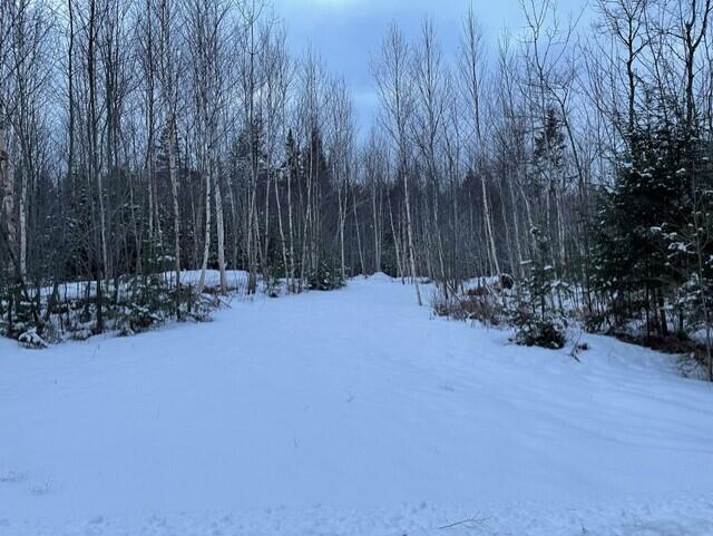 80 Silsby Road Ellsworth, ME 04605 - Photo 1 of 4 thumbnail_IMG_1825