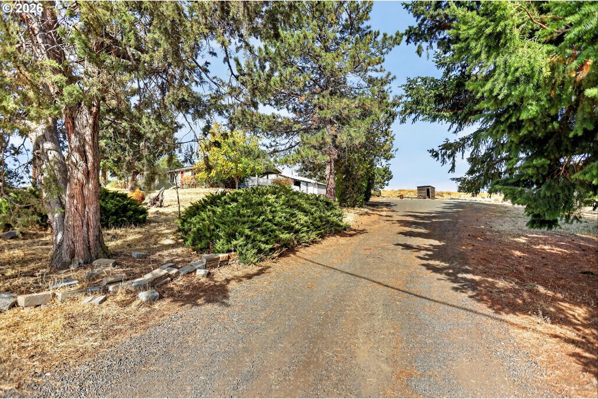 402 Jefferson Street Moro, OR 97039 - Photo 40 of 47 Gallery Image 40