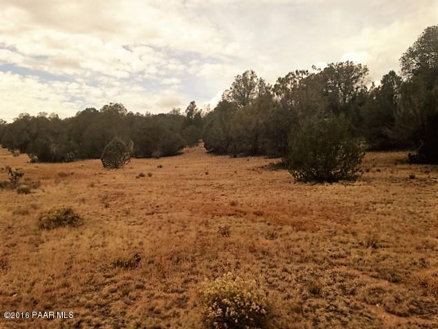 187 Fort Rock Road Seligman, AZ 86337 - Photo 1 of 7 IMG_3062 (1)