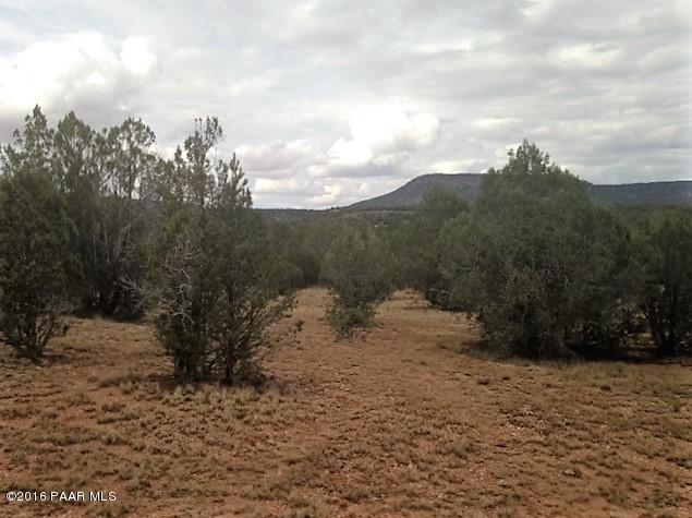 187 Fort Rock Road Seligman, AZ 86337 - Photo 2 of 7 IMG_3066 (1)