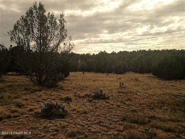 187 Fort Rock Road Seligman, AZ 86337 - Photo 3 of 7 IMG_3067 (1)