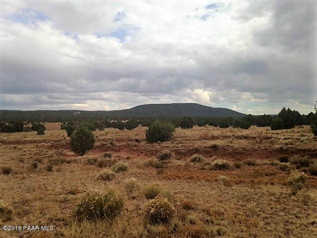 187 Fort Rock Road Seligman, AZ 86337 - Photo 5 of 7 IMG_3064 (1)