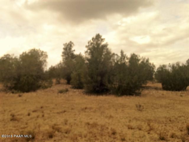 187 Fort Rock Road Seligman, AZ 86337 - Photo 6 of 7 IMG_3063 (1)