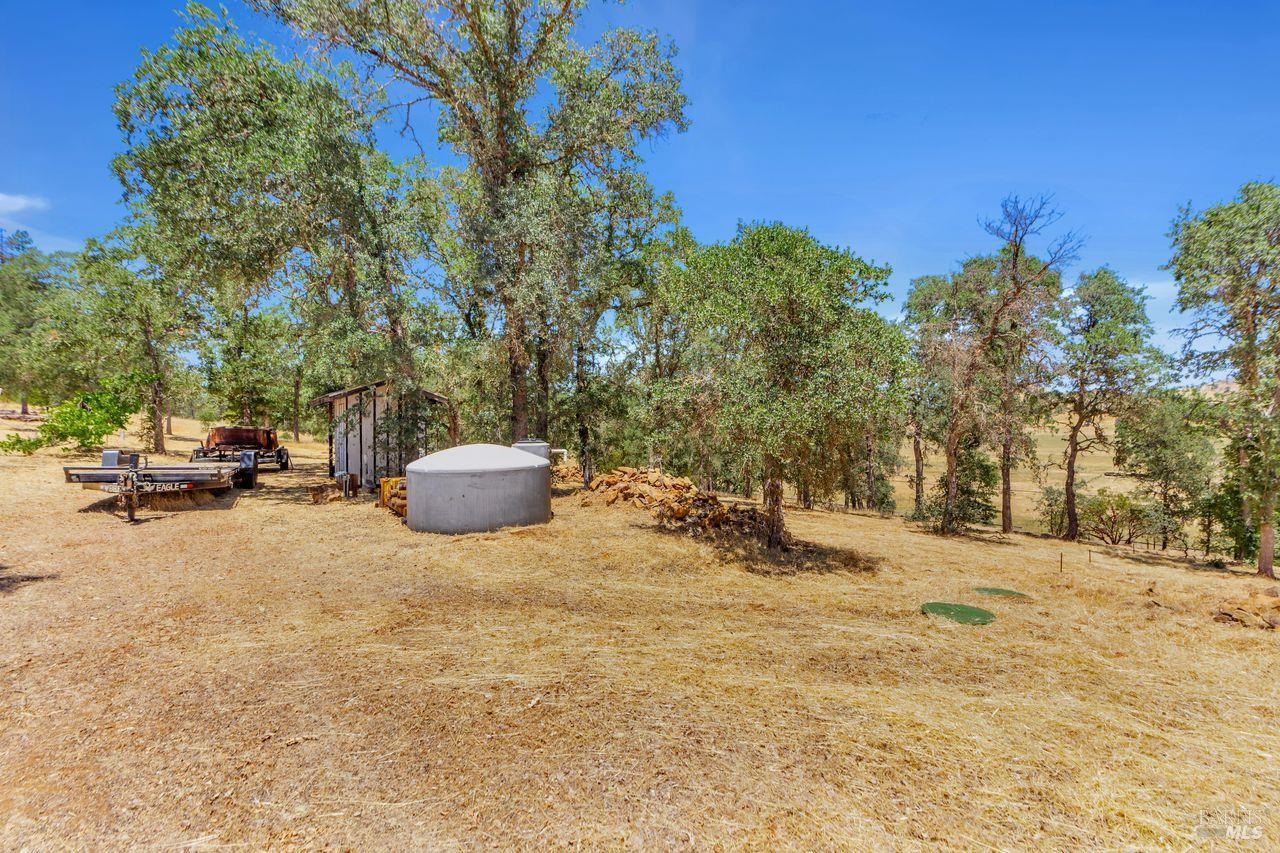 17277 Butts Canyon Road Middletown, CA 95461 - Photo 25 of 41 a view of the street