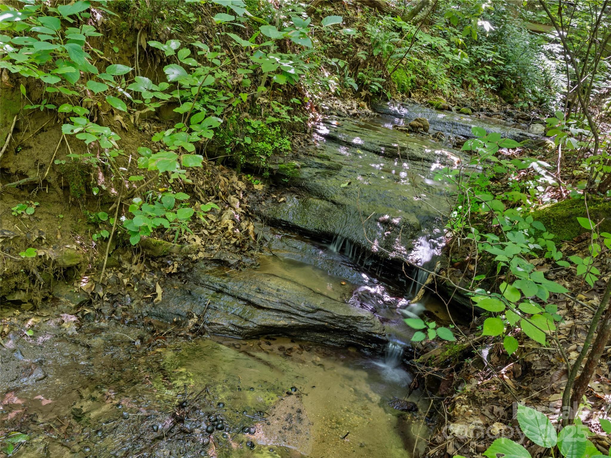 755 Pearson Falls Road Saluda, NC 28773 - Photo 34 of 38