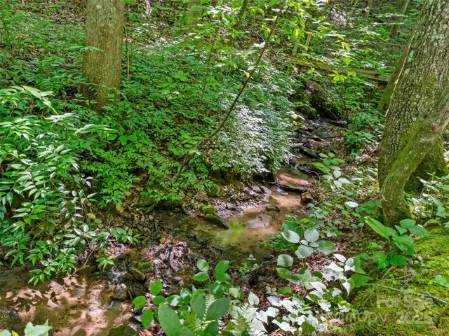 $235,000 | 755 Pearson Falls Road, Saluda, NC 28773