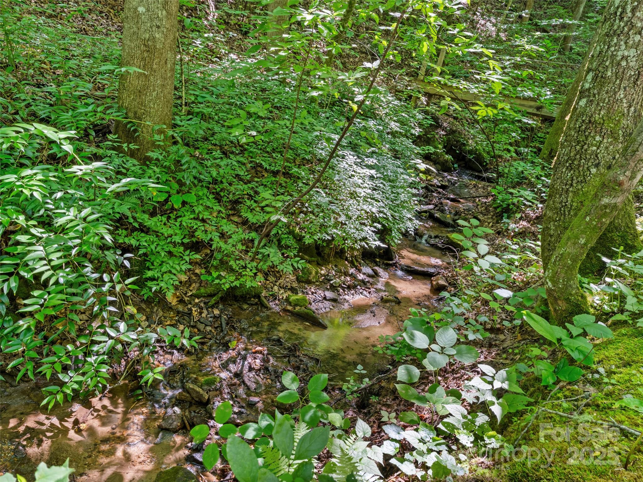 755 Pearson Falls Road Saluda, NC 28773 - Photo 35 of 38