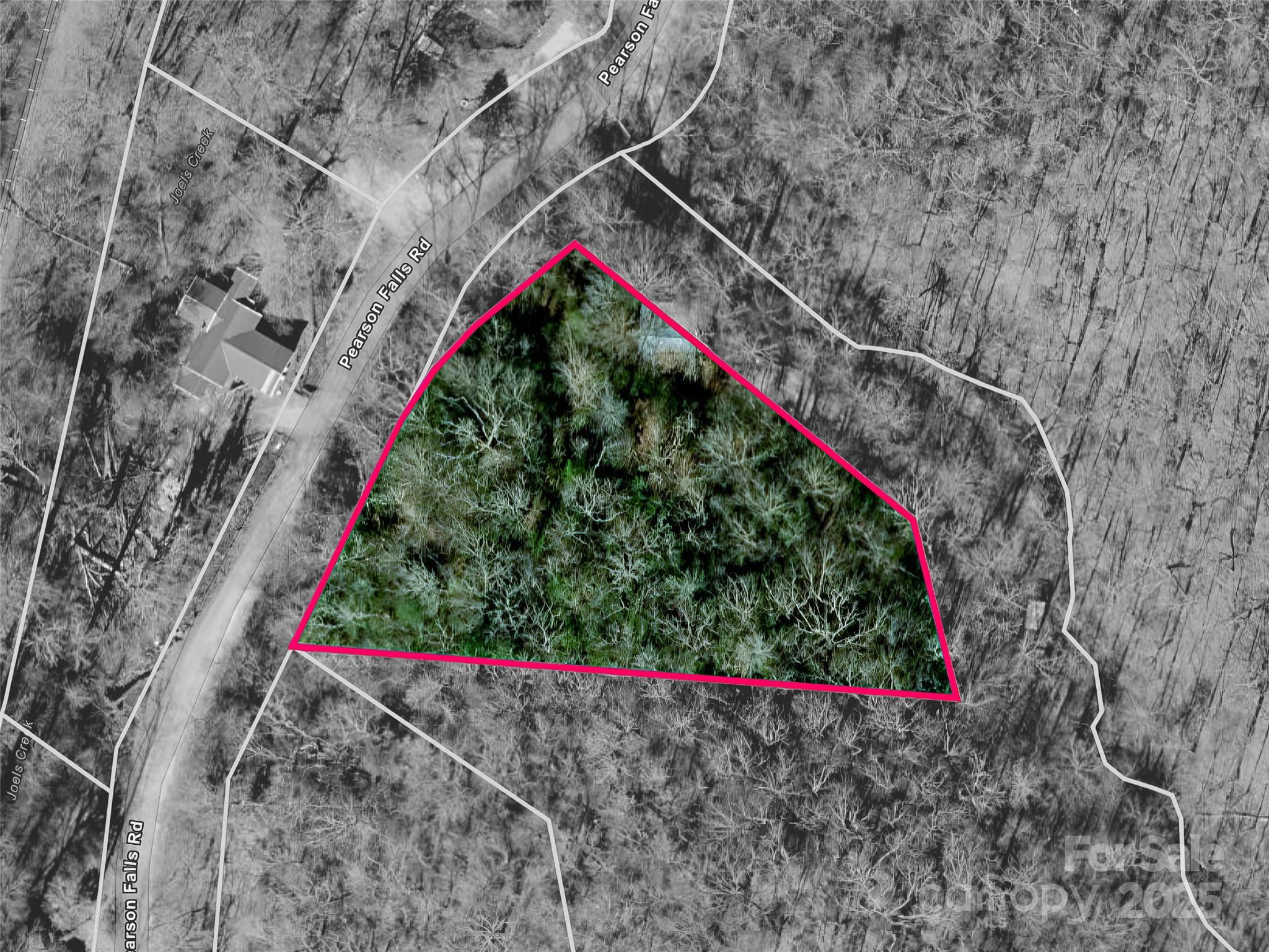 755 Pearson Falls Road Saluda, NC 28773 - Photo 38 of 38