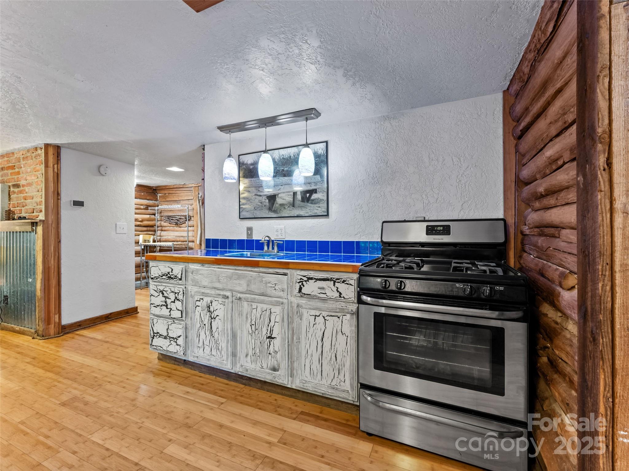 755 Pearson Falls Road Saluda, NC 28773 - Photo 10 of 38