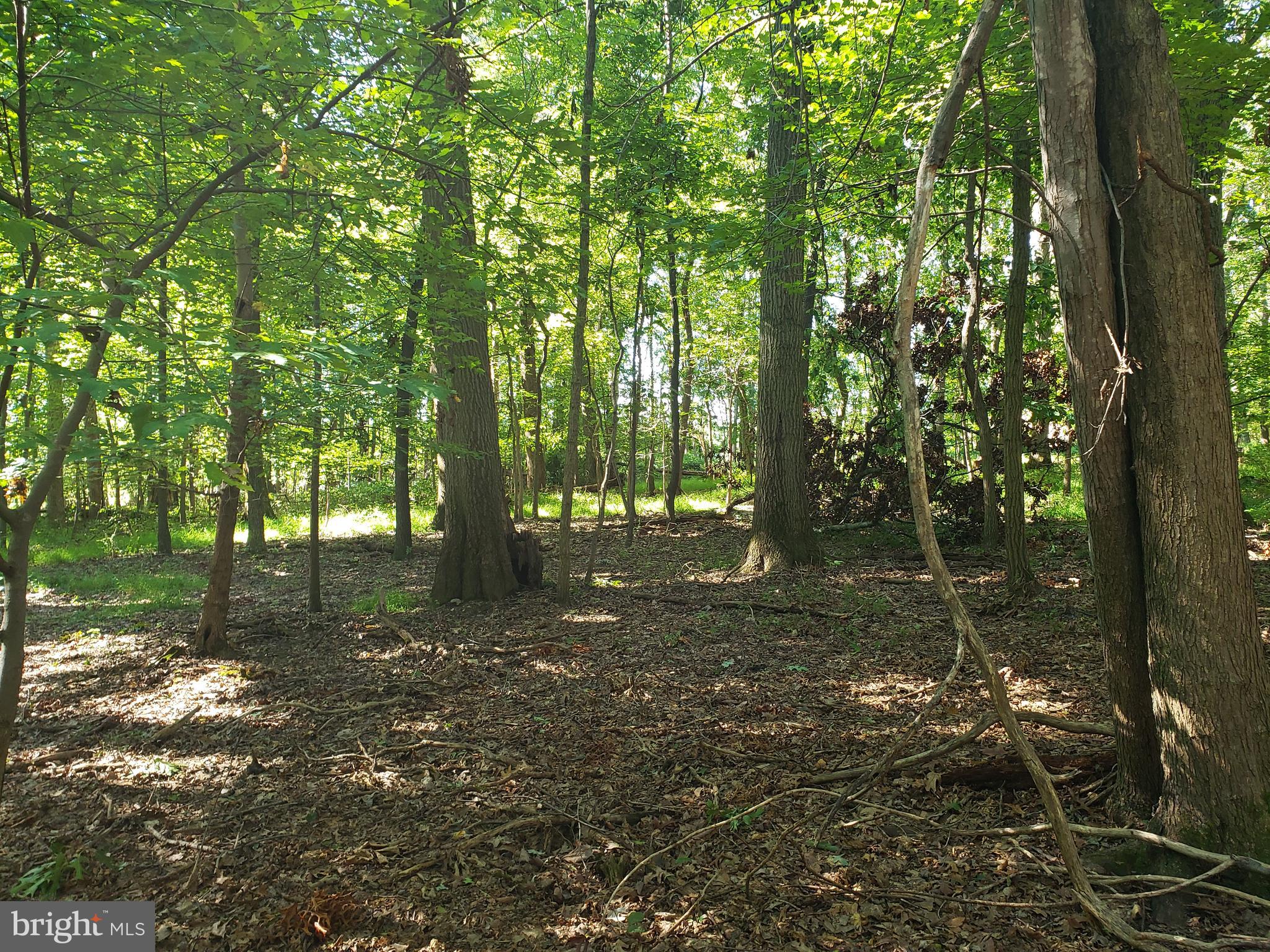 Pcl #101 Pcl Road Northwest Mount Airy, MD 21771 - Photo 3 of 13 Gallery Image 3