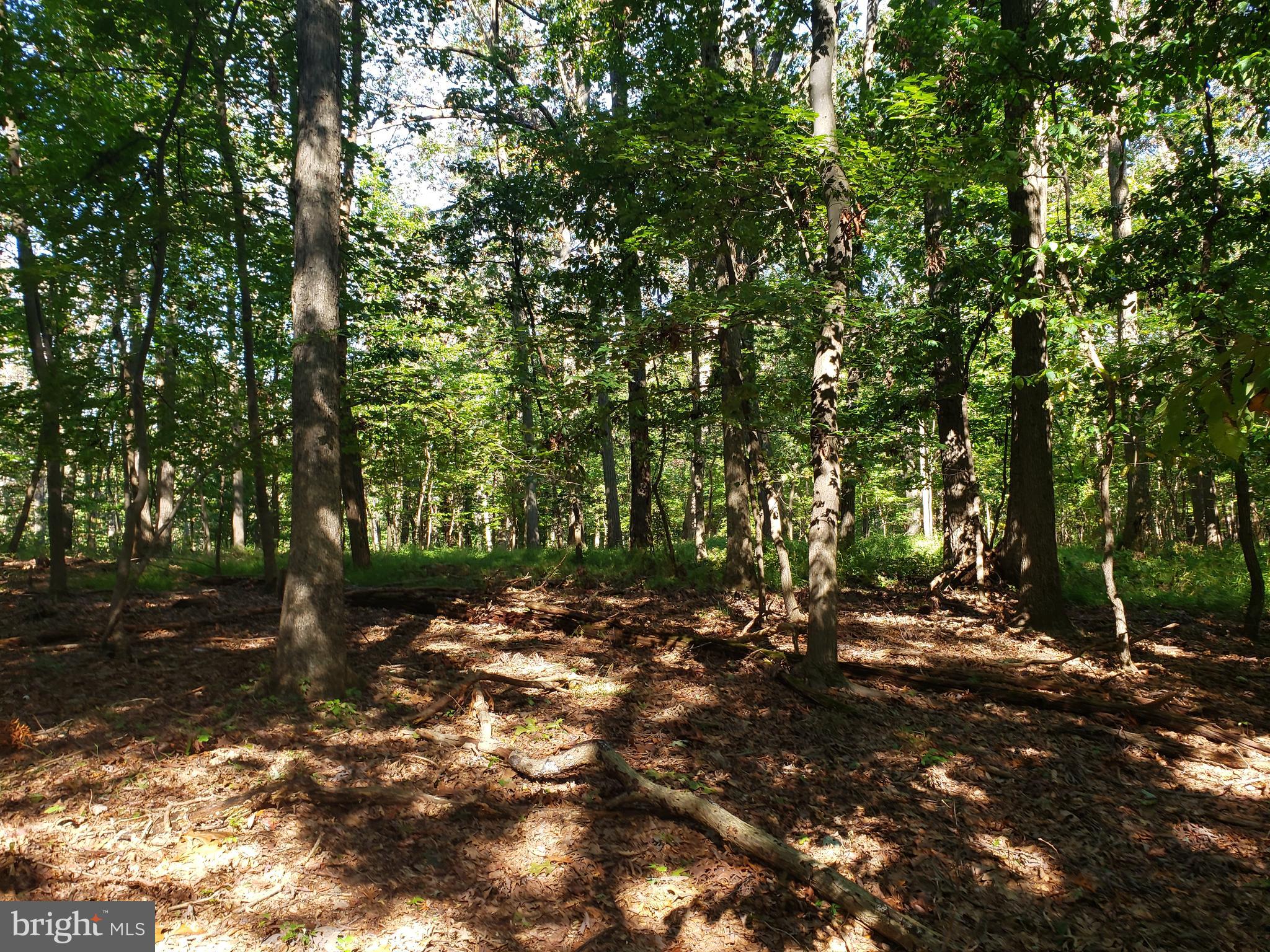 Pcl #101 Pcl Road Northwest Mount Airy, MD 21771 - Photo 4 of 13 Gallery Image 4