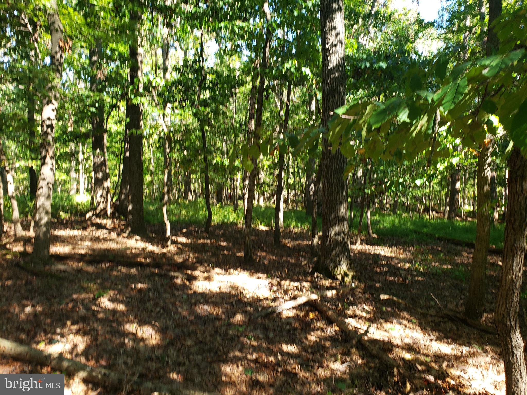 Pcl #101 Pcl Road Northwest Mount Airy, MD 21771 - Photo 5 of 13 Gallery Image 5