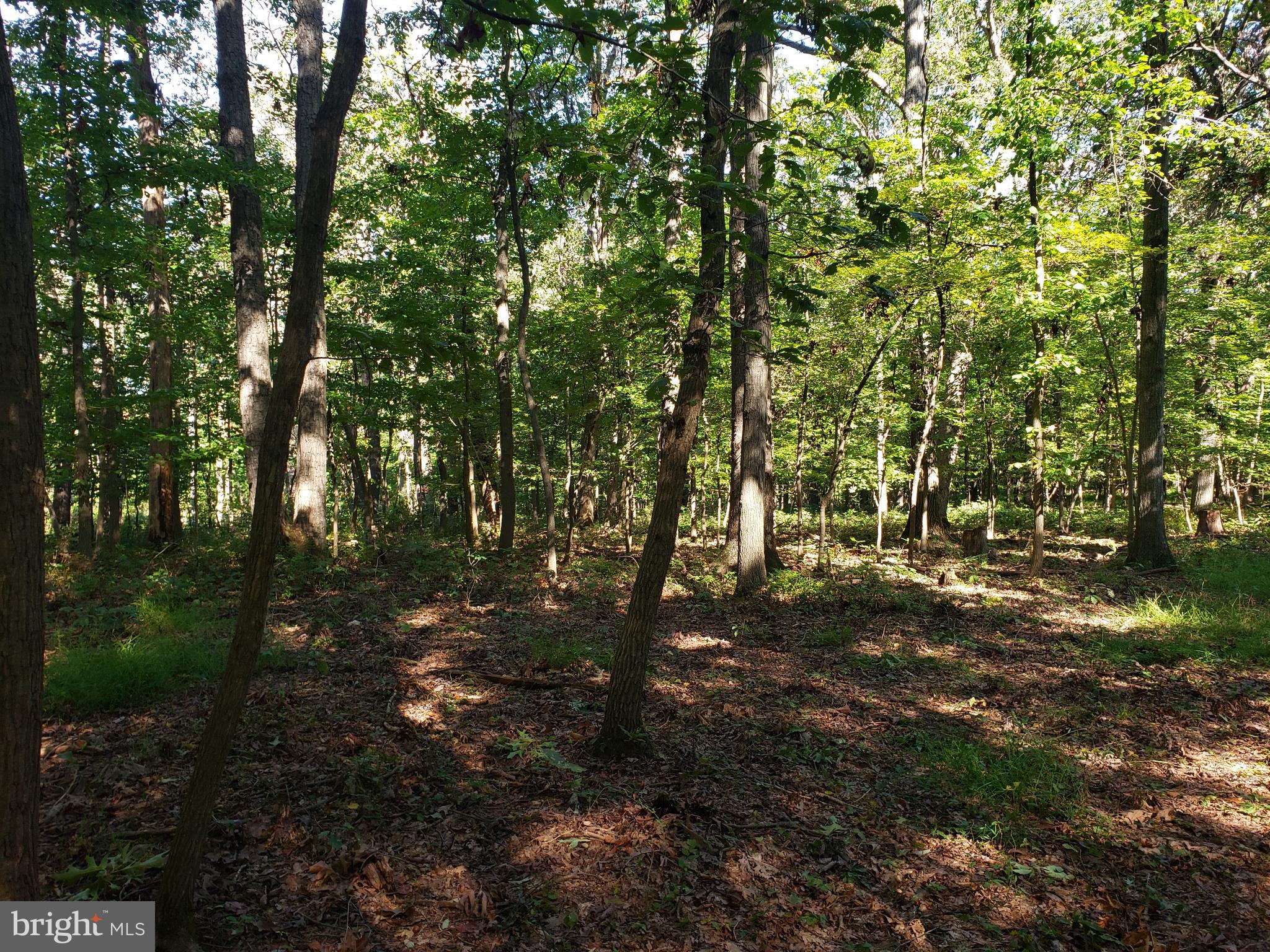 Pcl #101 Pcl Road Northwest Mount Airy, MD 21771 - Photo 8 of 13 Gallery Image 8