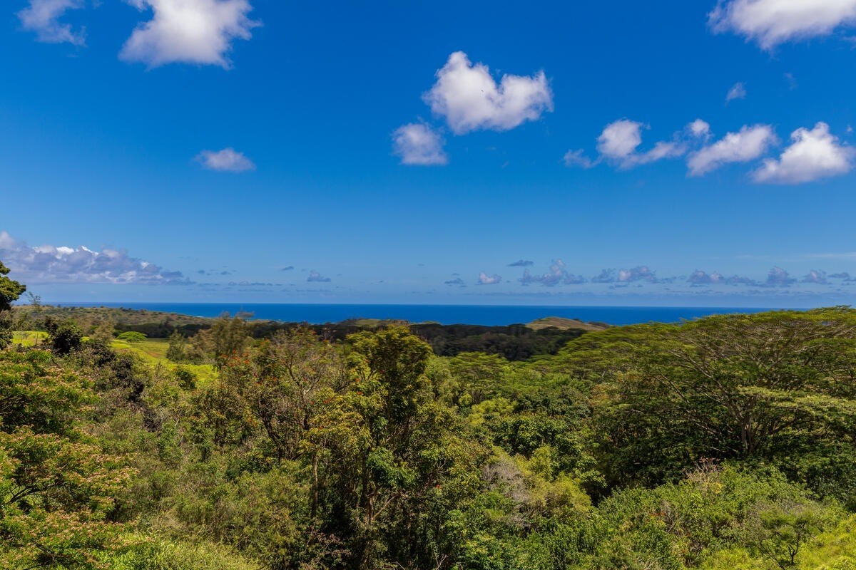 3225 Hailima Road, Unit B Koloa, HI 96756 - Photo 17 of 30