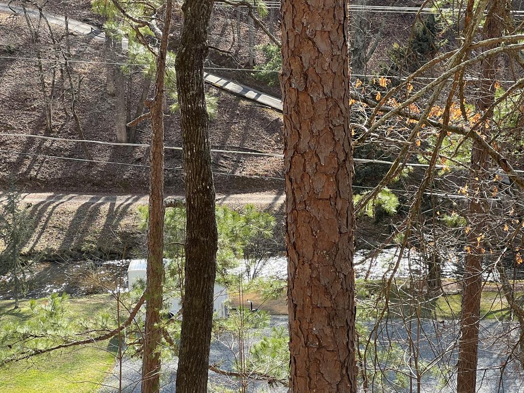 1151 Chestnut Gap Road Blue Ridge, GA 30513 - Photo 18 of 18