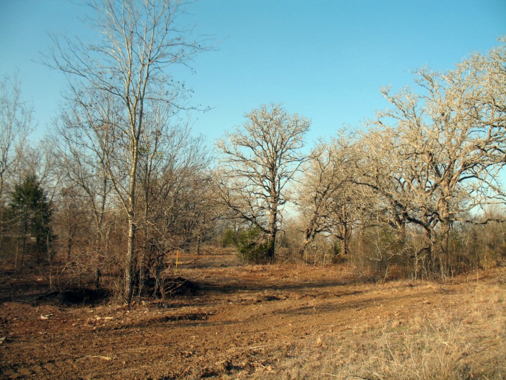 175 Sandholler Road Dale, TX 78616 - Photo 1 of 1 Gallery Image 1