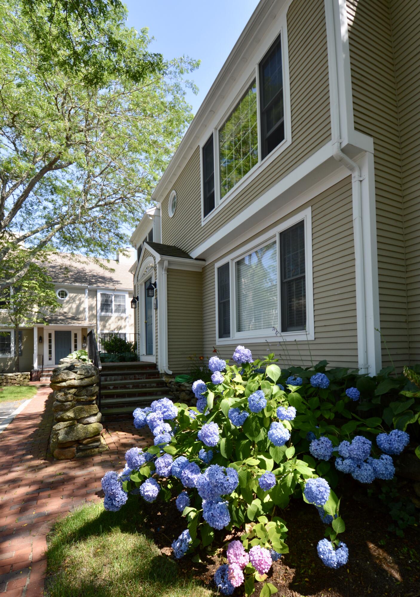 a bunch of flowers in front of house