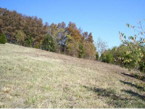 0 Old Ducktown Road Limestone, TN 37681 - Photo 2 of 9 Photo 2
