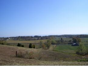 0 Old Ducktown Road Limestone, TN 37681 - Photo 4 of 9 Photo 4