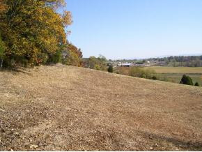 0 Old Ducktown Road Limestone, TN 37681 - Photo 5 of 9 Photo 5