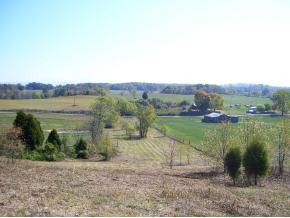 0 Old Ducktown Road Limestone, TN 37681 - Photo 7 of 9 Photo 7