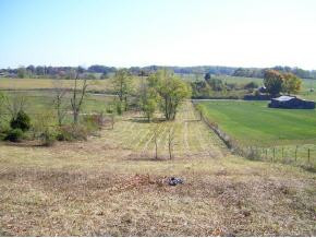 0 Old Ducktown Road Limestone, TN 37681 - Photo 8 of 9 Photo 8
