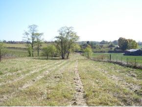 0 Old Ducktown Road Limestone, TN 37681 - Photo 9 of 9 Photo 9