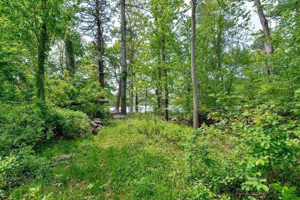 20 Alder Road Norton, MA 02766 - Photo 6 of 32 a view of a lush green forest