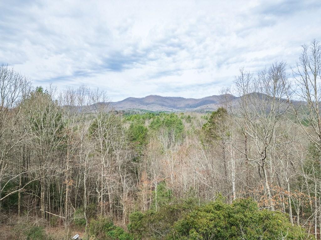 457 Persimmon Hts Road Murphy, NC 28906 - Photo 25 of 42 a view of a lake with a mountain in the background